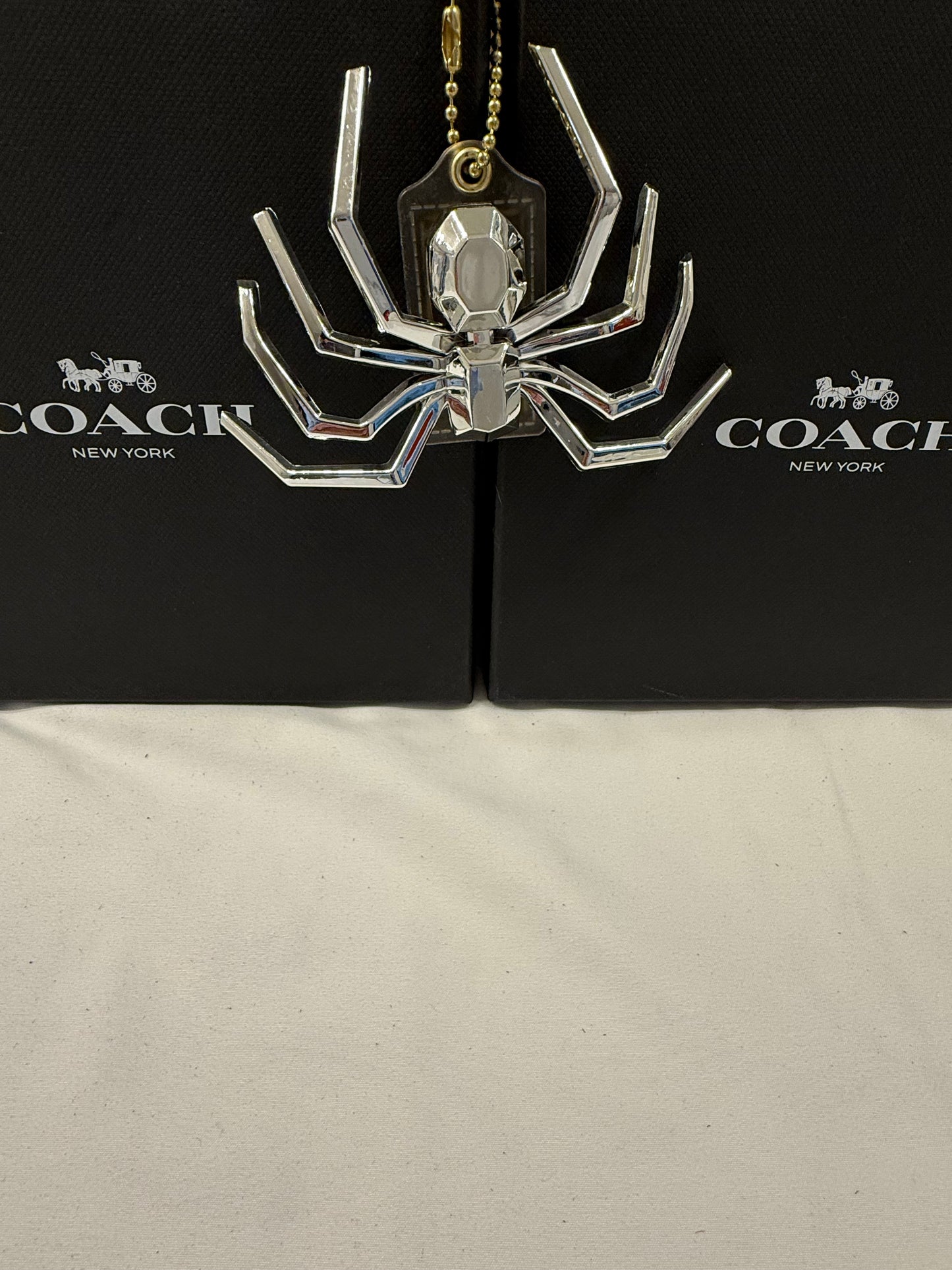 Repurposed Coach Clear (Yellowed) Hangtag with Metallic Plastic Spider Emblem